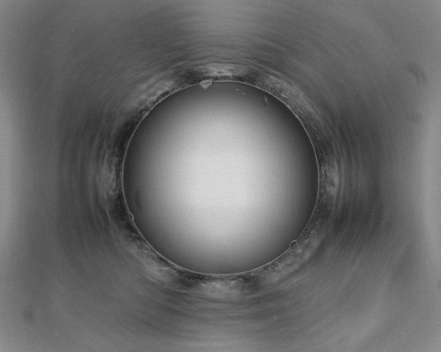 X0000112810422200908211148