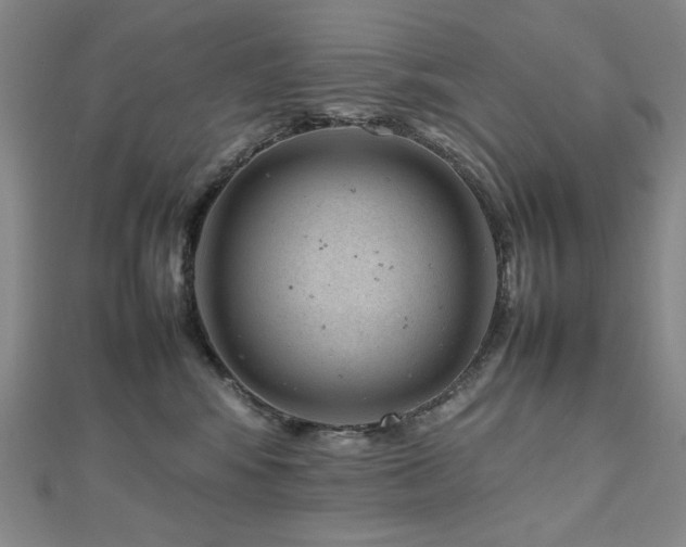 X0000112810424200908211148