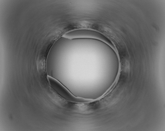 X0000112810425200908211148