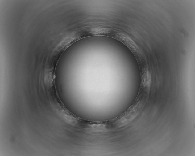 X0000112810426200908211148