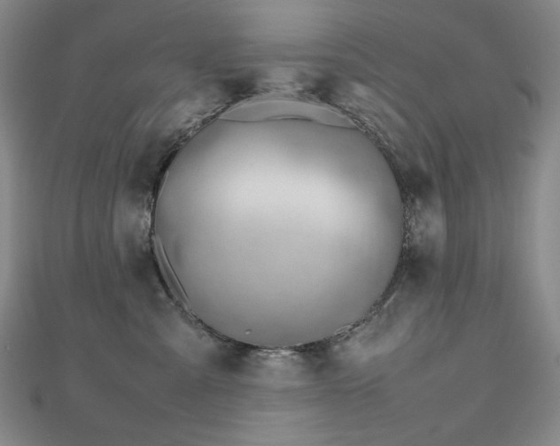 X0000112810427200908211148