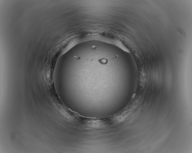 X0000112810428200908211148