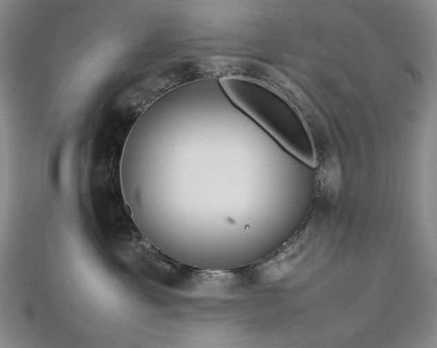 X0000112810429200908211148