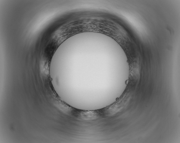 X0000112810431200908211148