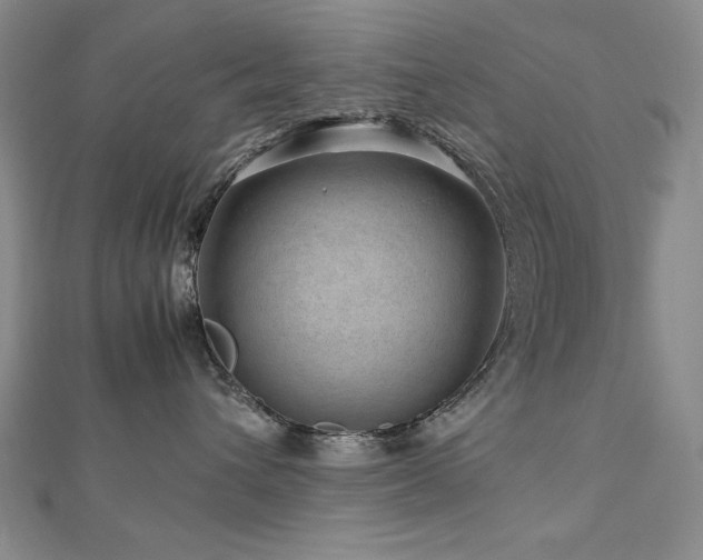 X0000112810432200908211148