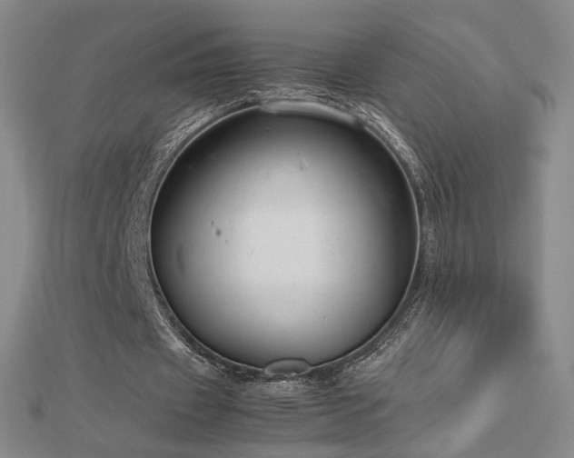 X0000112810433200908211147
