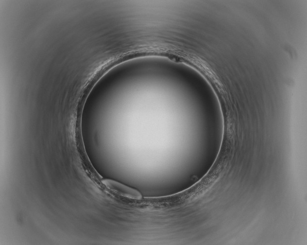 X0000112810434200908211147