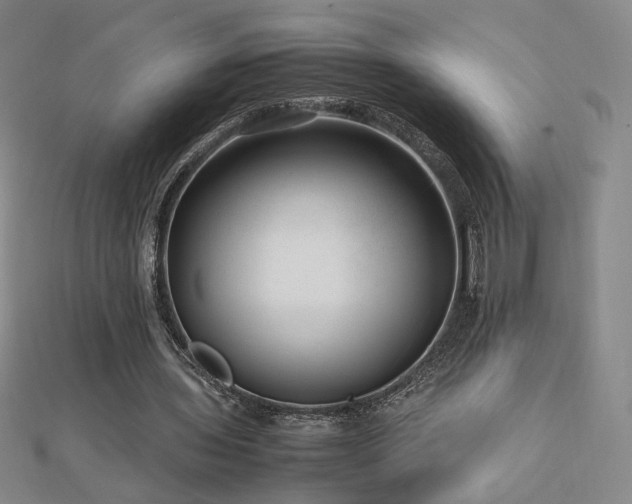 X0000112810435200908211147