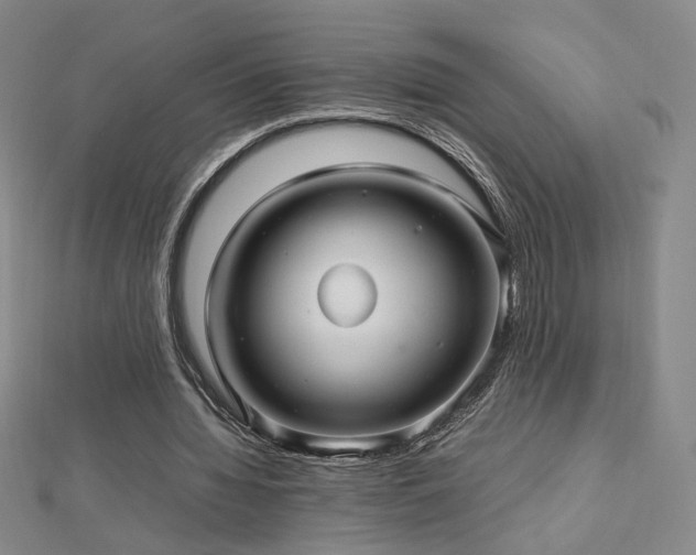 X0000112810436200908211147