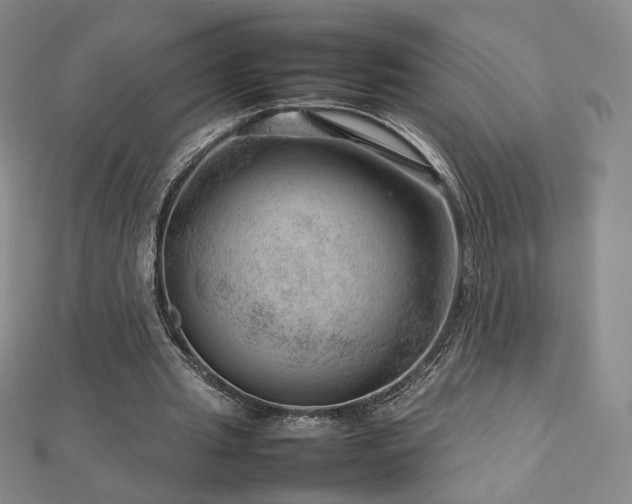 X0000112810437200908211147