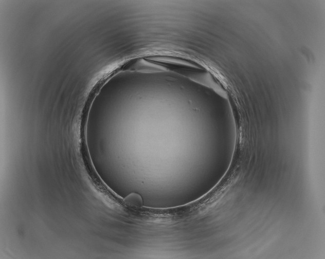 X0000112810438200908211147