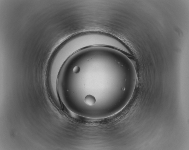 X0000112810440200908211147