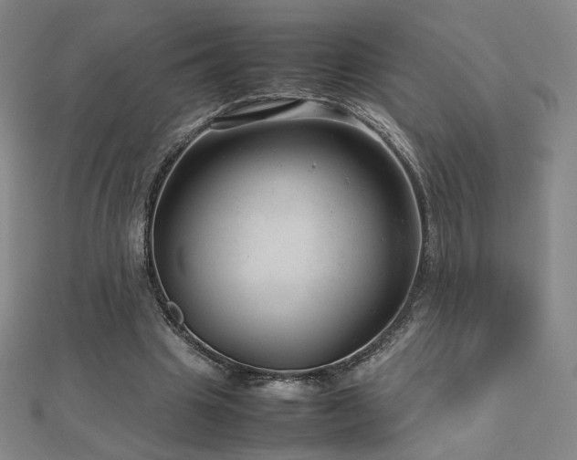 X0000112810441200908211148
