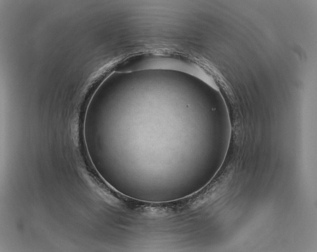 X0000112810442200908211148