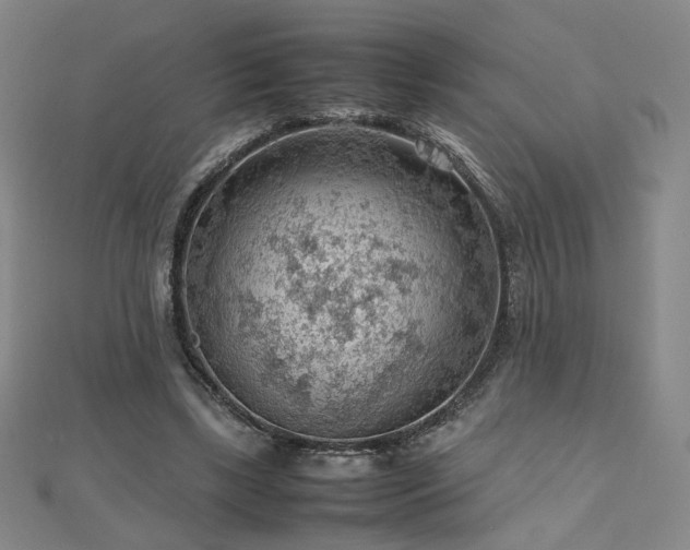 X0000112810443200908211148