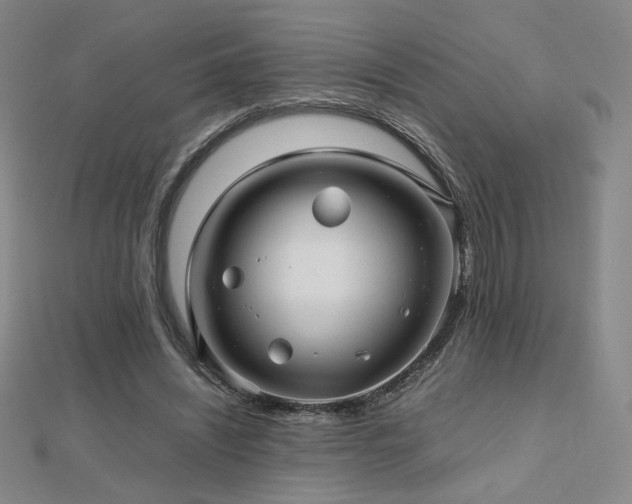 X0000112810444200908211148