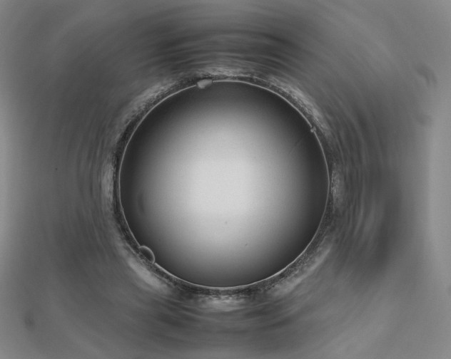 X0000112810445200908211148