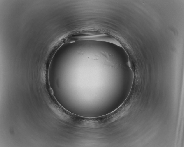 X0000112810446200908211148