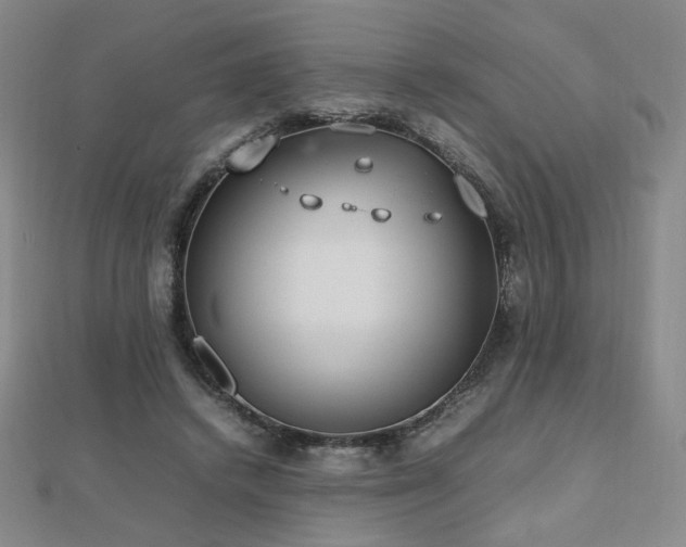X0000112810448200908211148