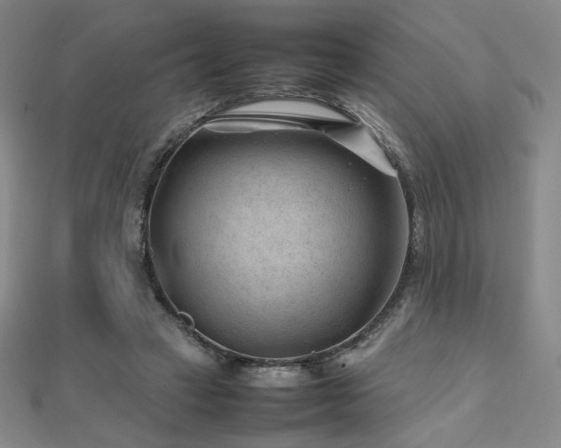 X0000112810449200908211148