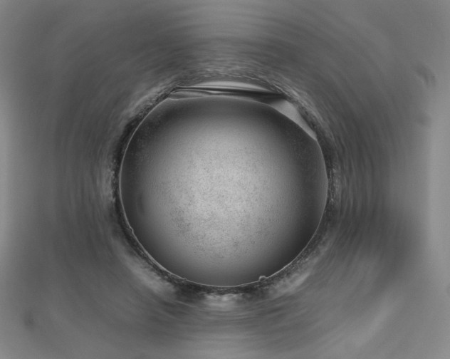 X0000112810450200908211148