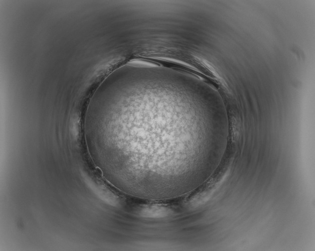 X0000112810451200908211148