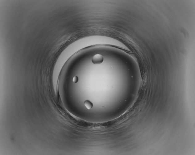 X0000112810452200908211148