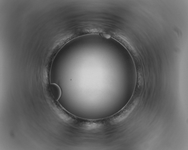 X0000112810453200908211148