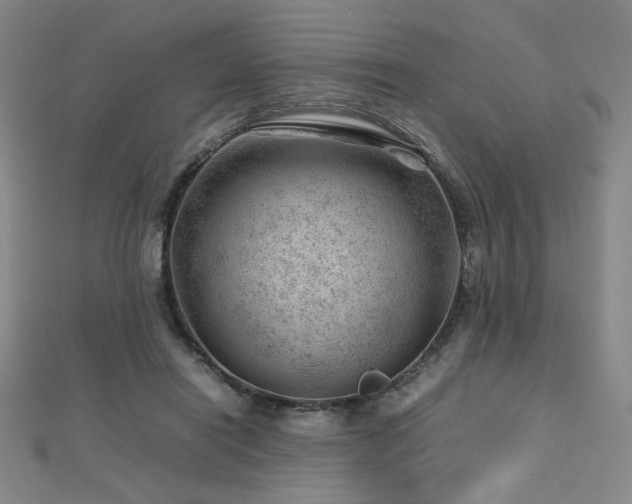 X0000112810454200908211148