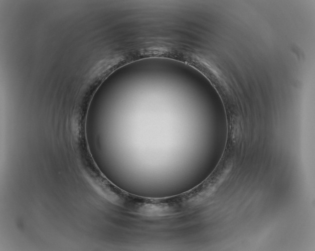 X0000112810455200908211148