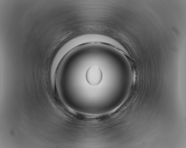 X0000112810456200908211148