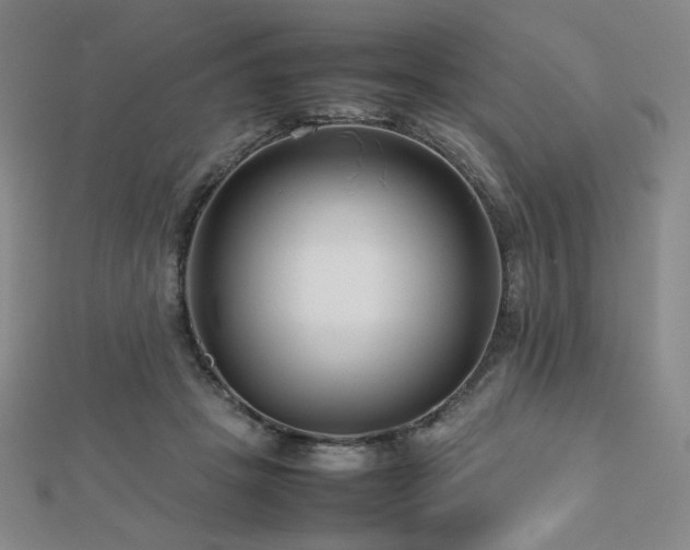 X0000112810457200908211148