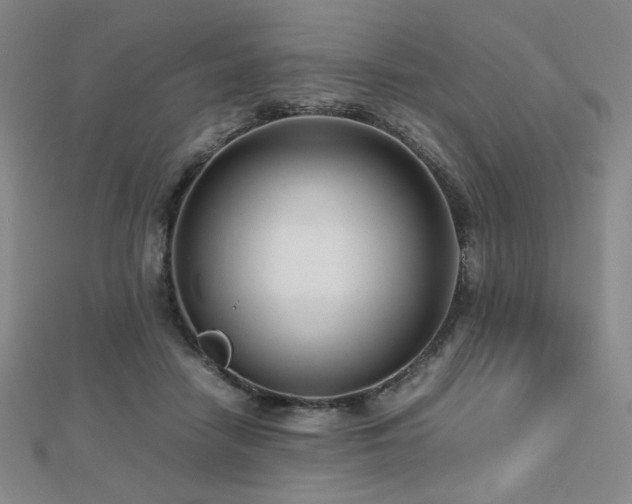 X0000112810458200908211148