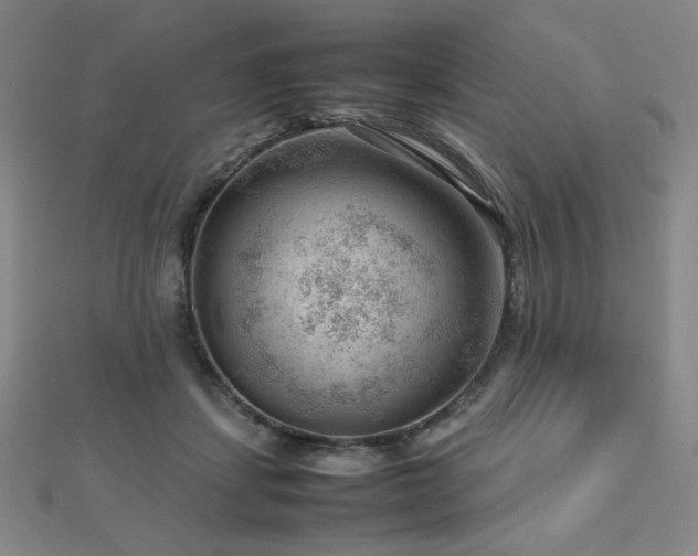 X0000112810459200908211148