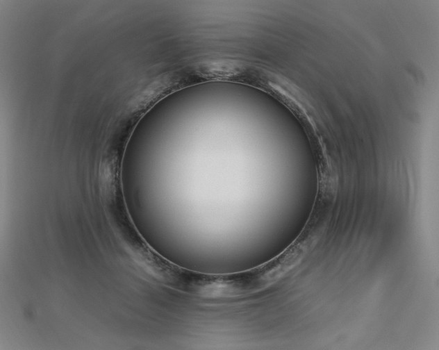 X0000112810460200908211148