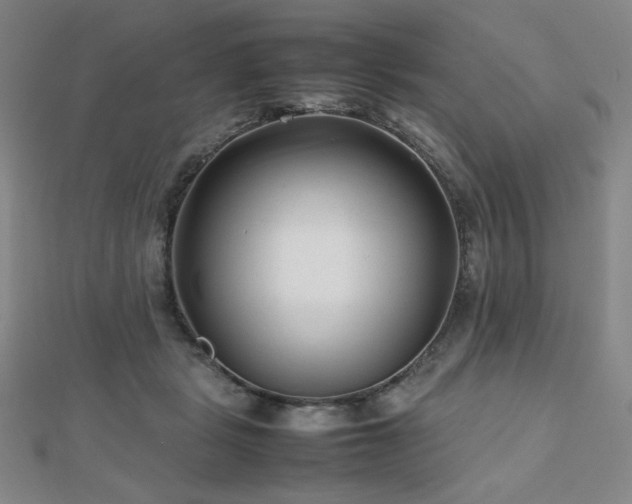 X0000112810461200908211148