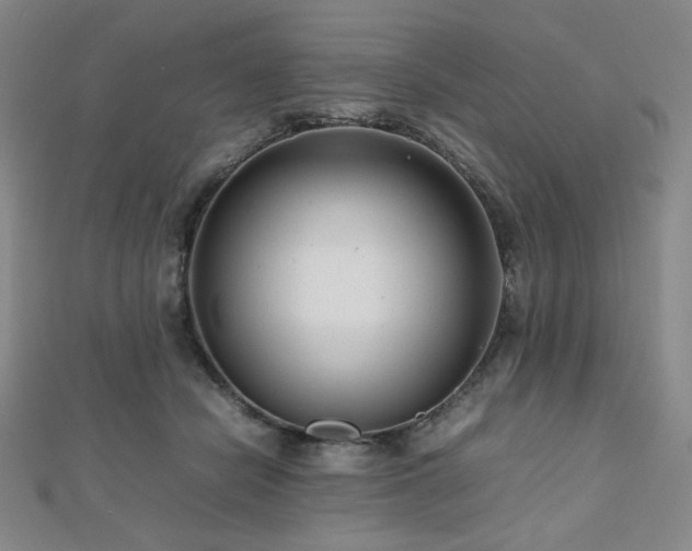 X0000112810462200908211148