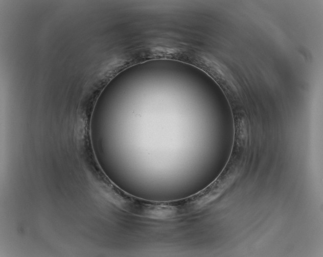 X0000112810463200908211148