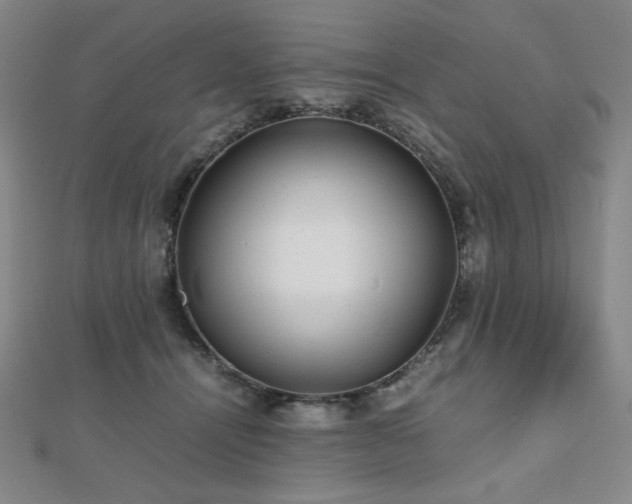 X0000112810464200908211148
