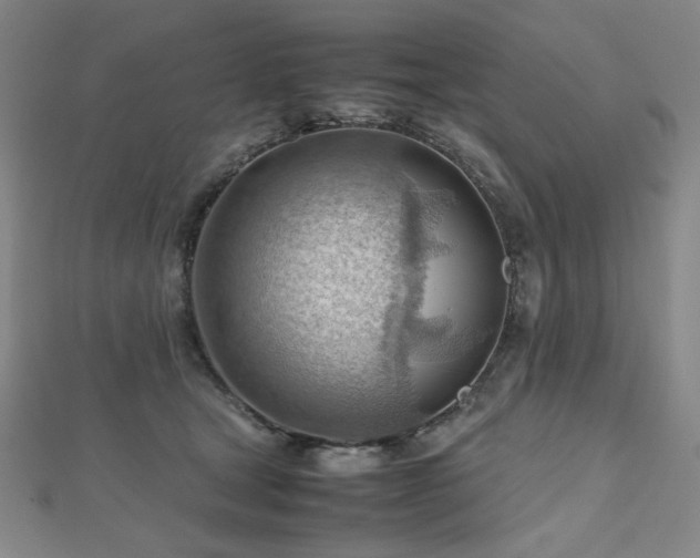 X0000112810465200908211148