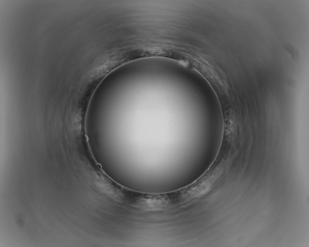 X0000112810466200908211148