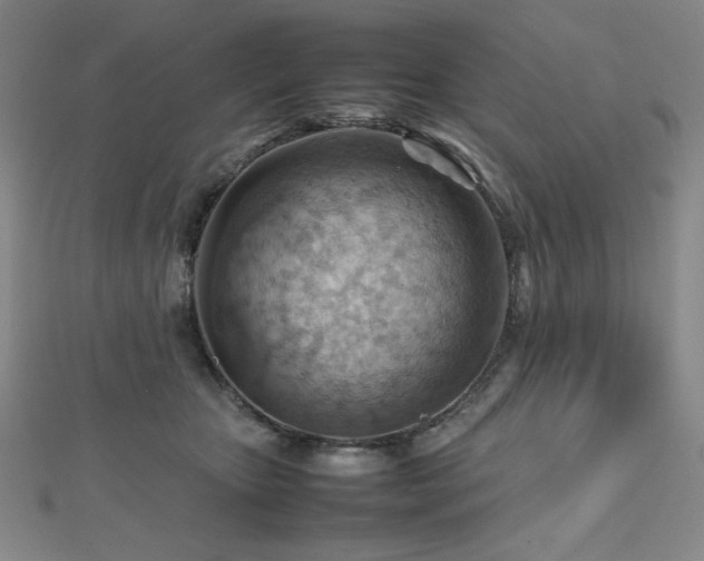 X0000112810467200908211148