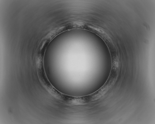 X0000112810468200908211148