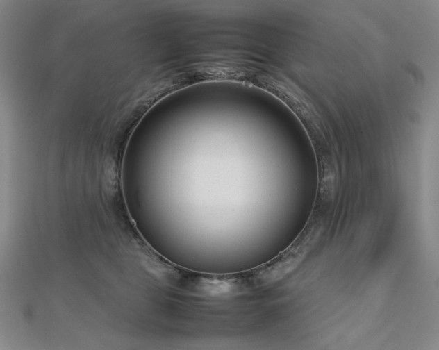 X0000112810469200908211148