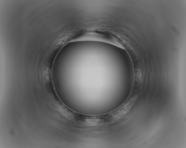 X0000112810470200908211148