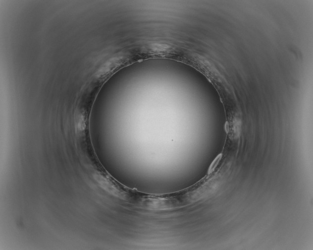 X0000112810472200908211148