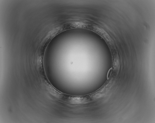 X0000112810473200908211148