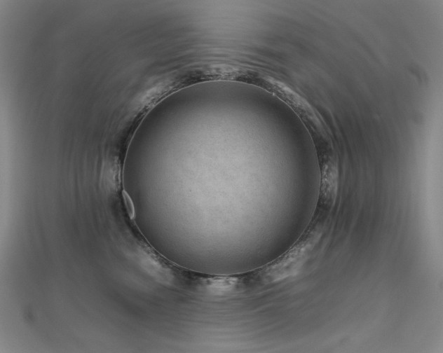 X0000112810474200908211148