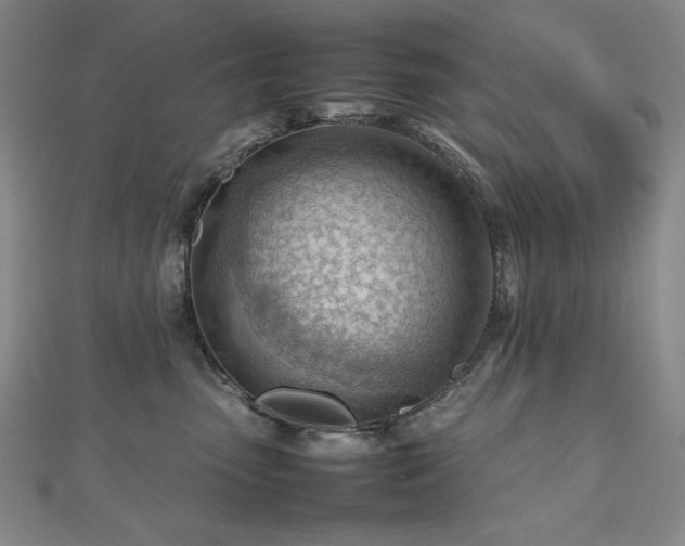X0000112810475200908211148
