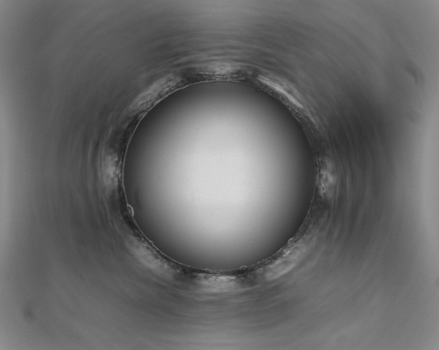X0000112810476200908211148